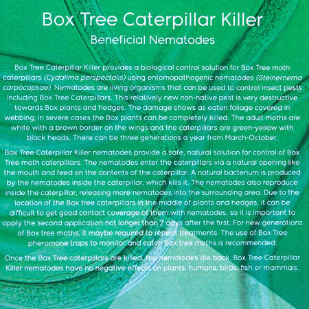 DragonFli Box Caterpillar Killer Nematodes 70sqm