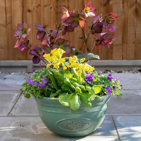 Olive Planter Bowl in Green 30cm