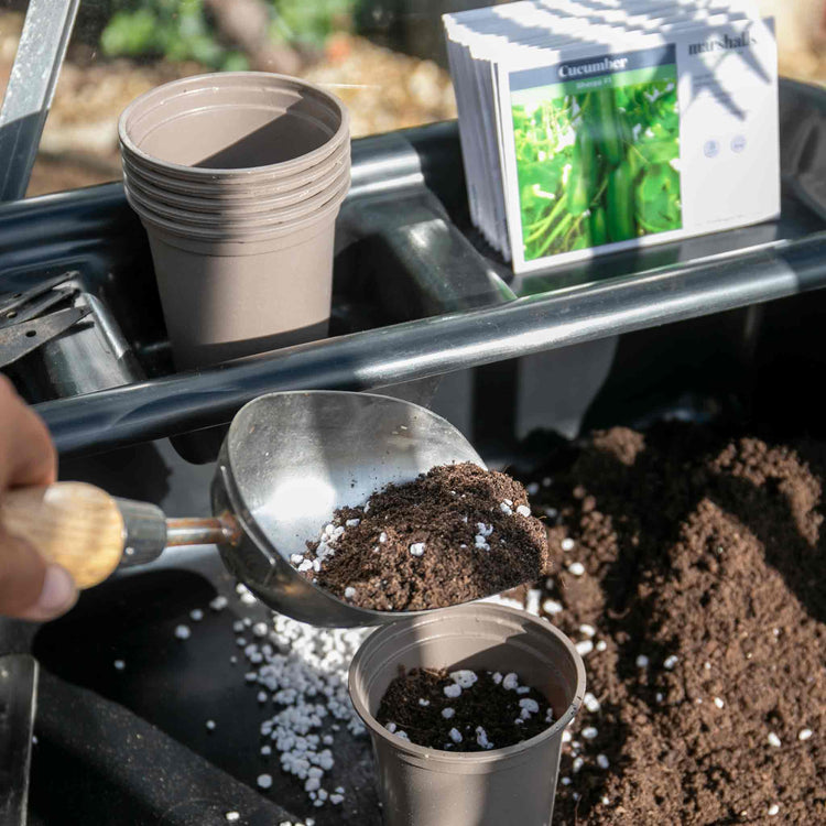Potting Tray