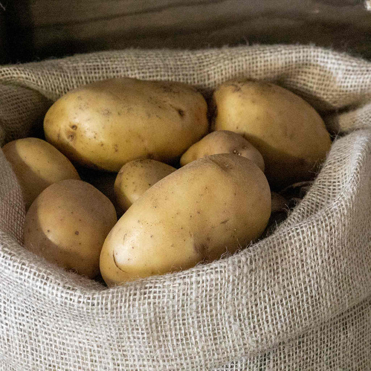 Hessian Sacks