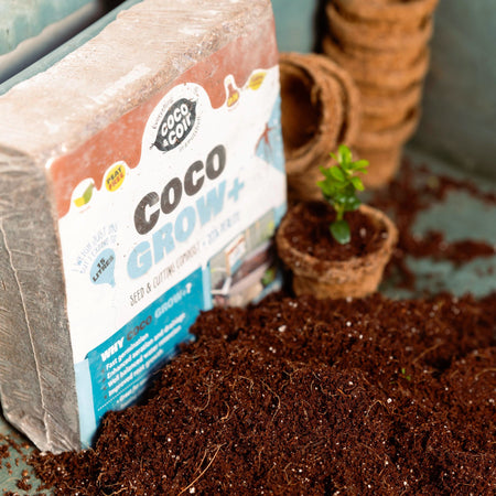 Coco & Coir Seed & Cutting Potting Mix