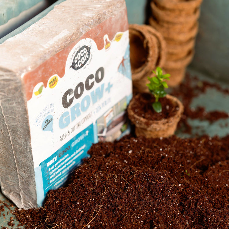 Coco & Coir Seed & Cutting Potting Mix