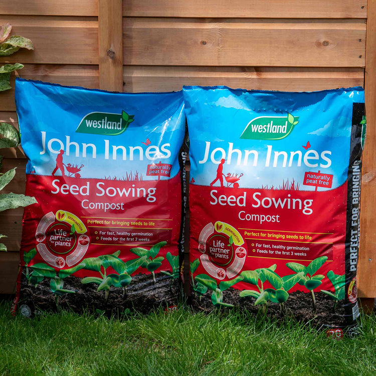 Westland John Innes Peat Free Seed Sowing Compost