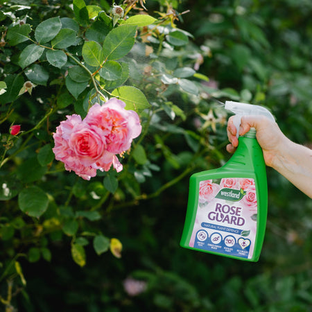 Westland Rose Guard 800ml