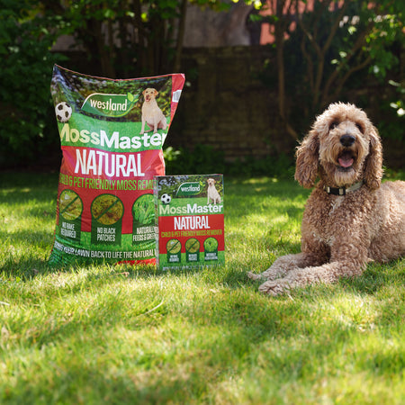 Westland Natural Lawn Care Rescue Bundle