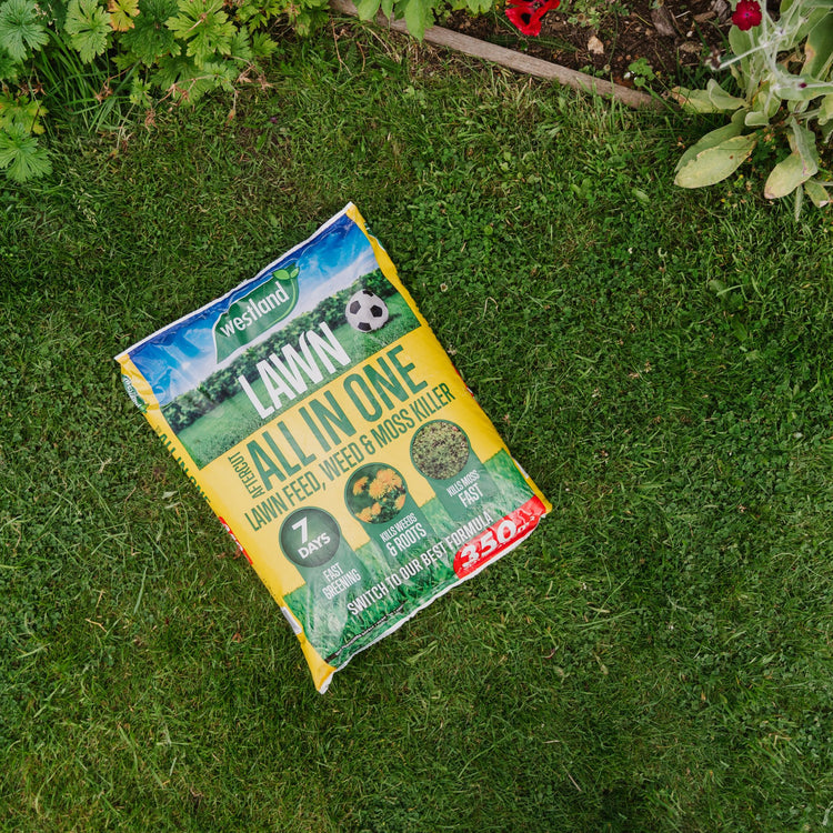 Westland Ultimate Lawn Rescue Bundle