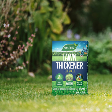 Westland Lawn Thickener Feed & Seed