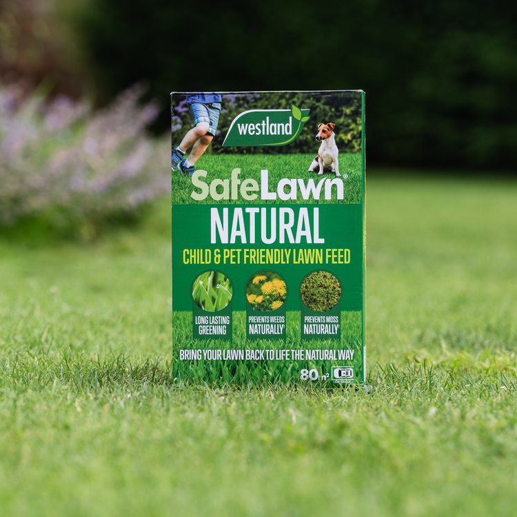 Westland Natural Lawn Care Rescue Bundle