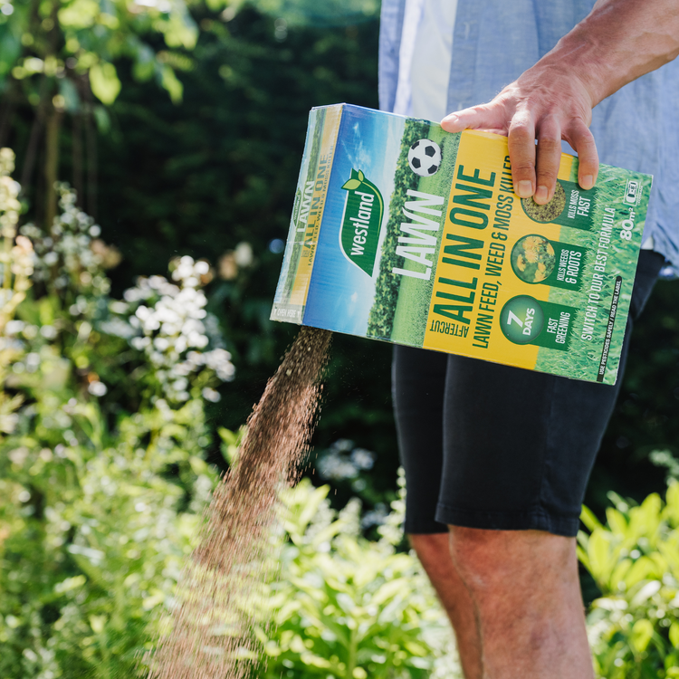 Westland Ultimate Lawn Rescue Bundle