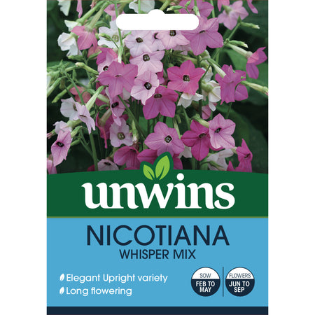 Nicotiana Seeds 'Whisper Mix'