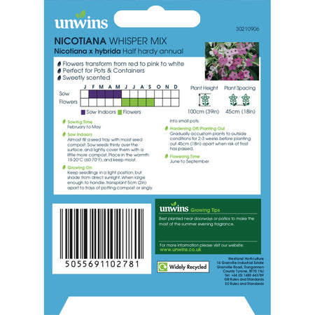 Nicotiana Seeds 'Whisper Mix'