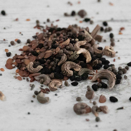 Annual Flower Seeds 'Dwarf Mix'