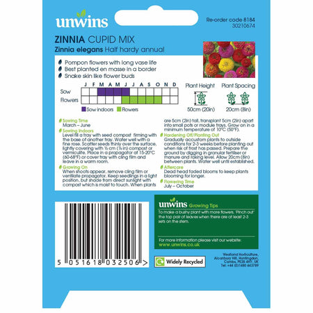 Zinnia Seeds 'Cupid Mix'