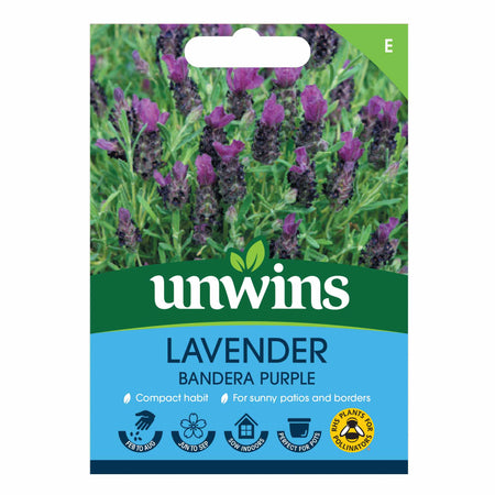 Lavender Seeds 'Bandera Deep Purple'