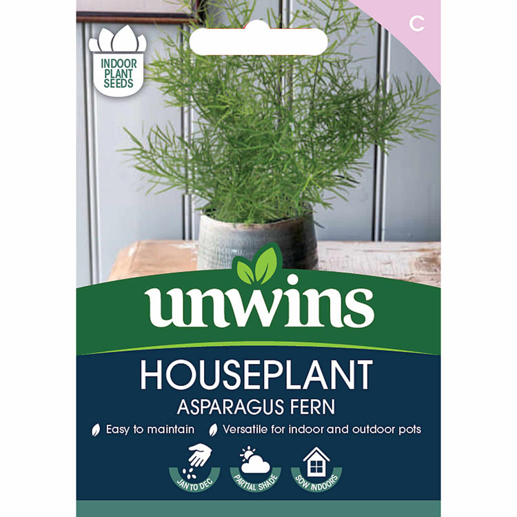 Asparagus Fern Seeds