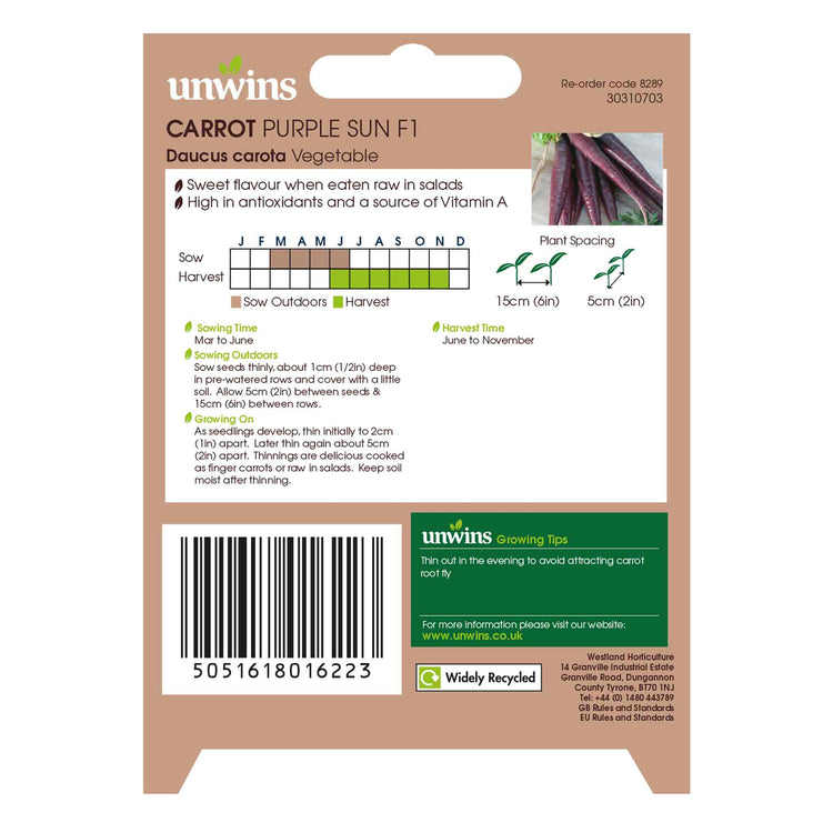 Carrot Seeds 'Purple Sun'