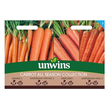 Carrot Seeds 'All Season' Collection