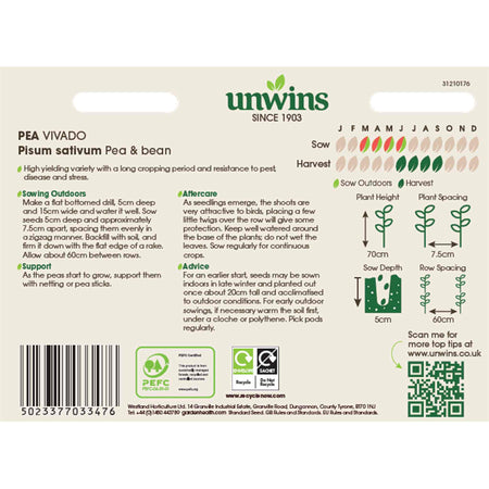 Pea Seeds 'Vivado'