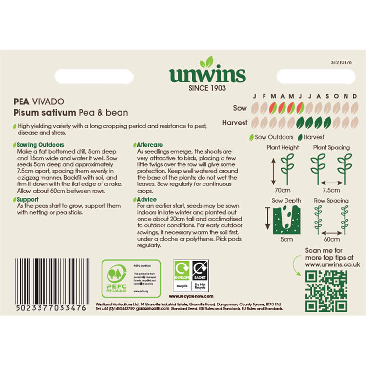 Pea Seeds 'Vivado'