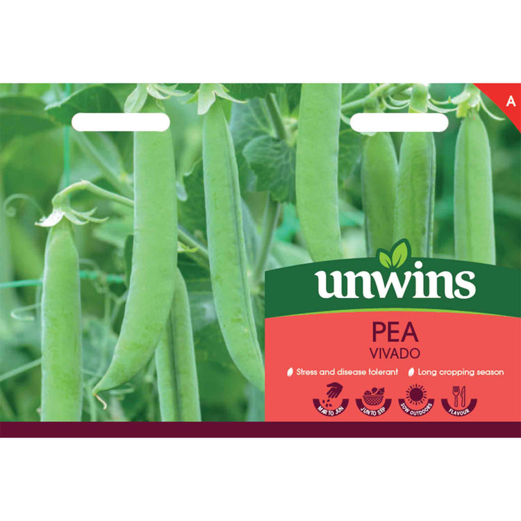 Pea Seeds 'Vivado'