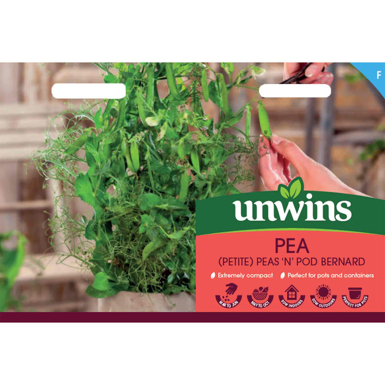 Pea Seeds 'Bernard'