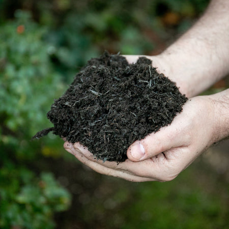 Westland The Gardeners Multi-Purpose Compost 46L