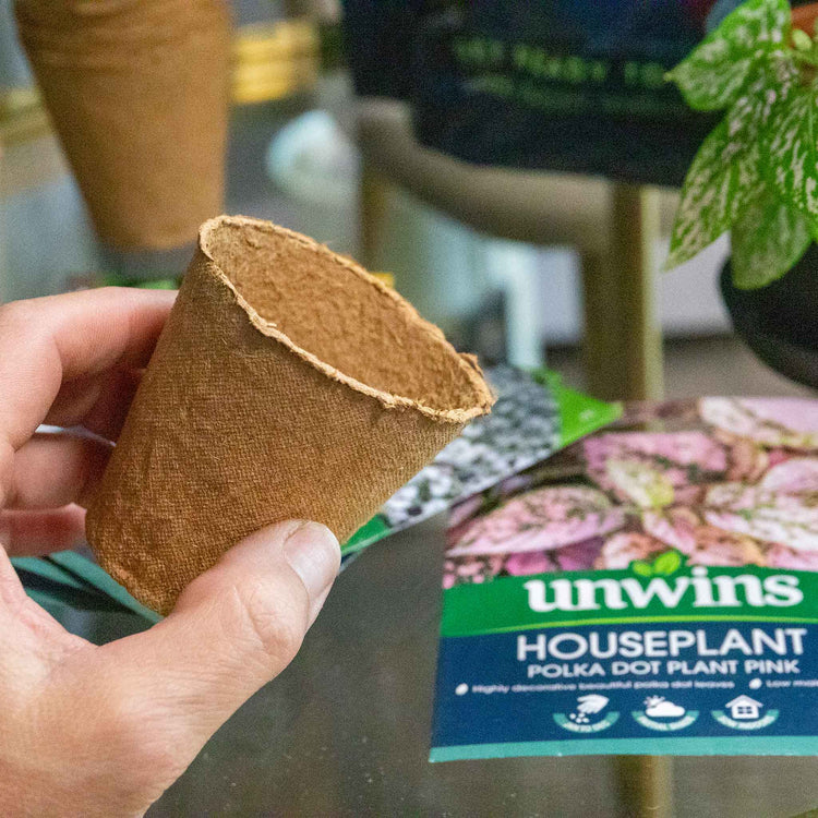 Houseplant Seed Growing Kit – 5 Varieties