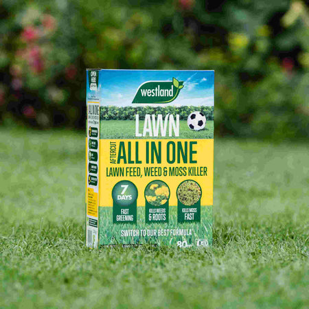 Westland Aftercut All In One Lawn Feed, Weed and Moss Killer