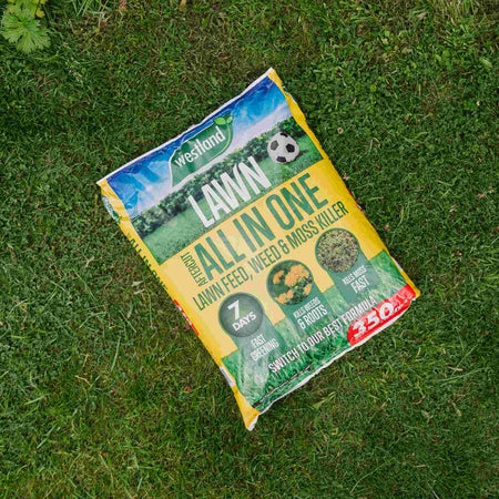 Westland Aftercut All In One Lawn Feed, Weed and Moss Killer