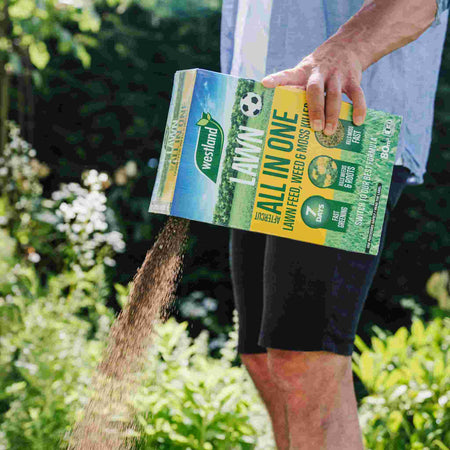 Westland Aftercut All In One Lawn Feed, Weed and Moss Killer