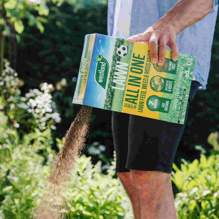 Westland Aftercut All In One Lawn Feed, Weed and Moss Killer