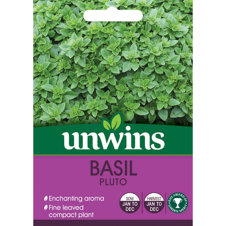 Basil Seeds 'Pluto'
