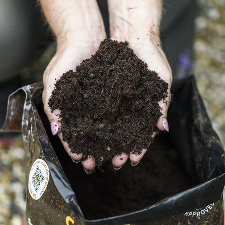 Carbon Gold Biochar All Purpose Peat-Free Compost