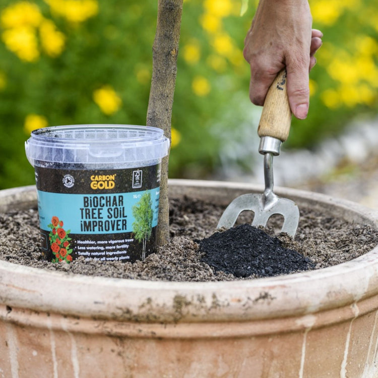 Carbon Gold Biochar Tree Soil Improver