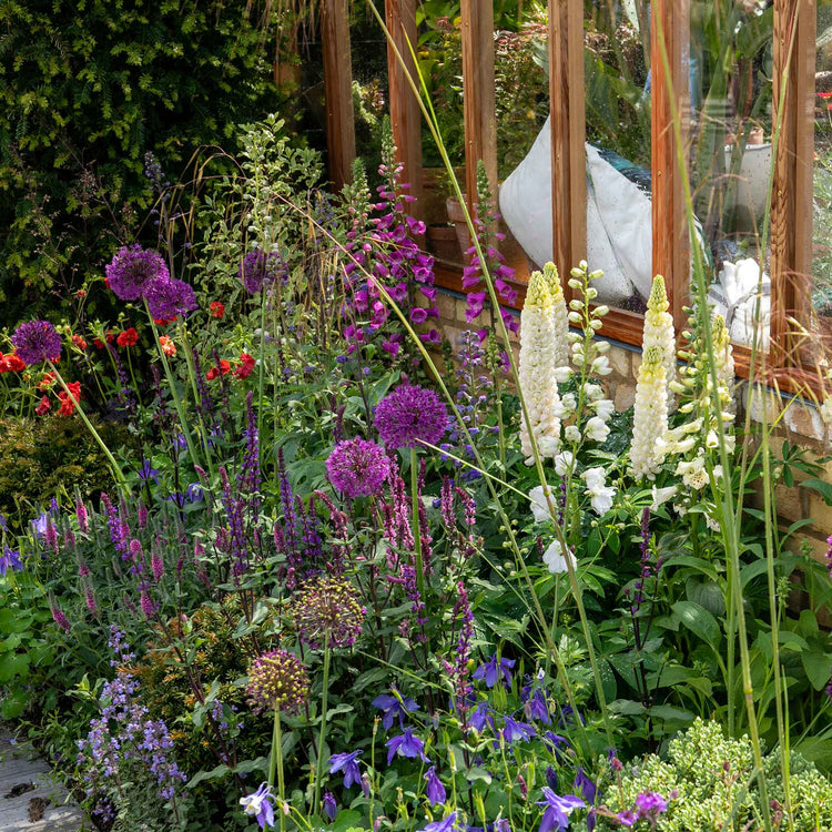 Marshalls 'Cottage Garden Selection'