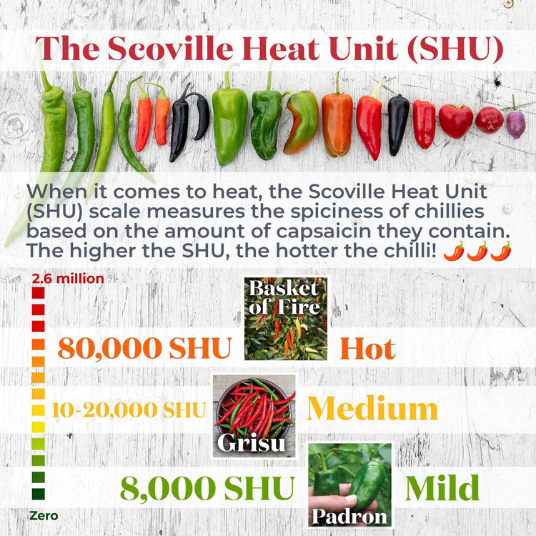 Chilli Balcony Collection