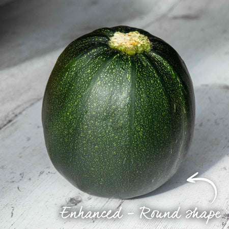 Courgette Seeds 'Eight Ball'