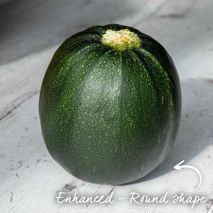 Courgette Seeds 'Eight Ball'