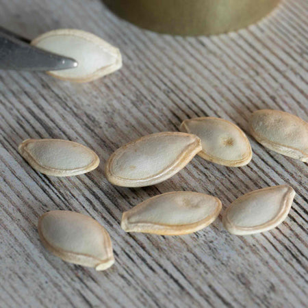 Courgette Seeds 'Eight Ball'