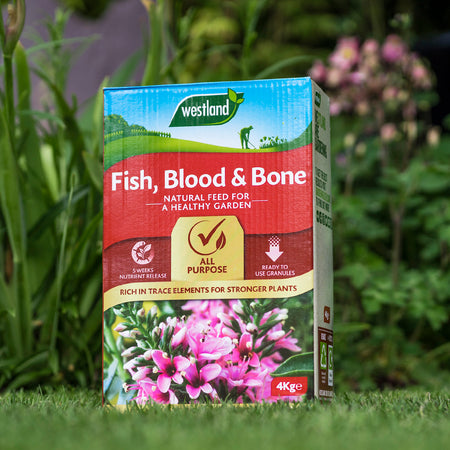 Westland Growmore 4kg + Fish Blood & Bone 4kg - Duo Pack
