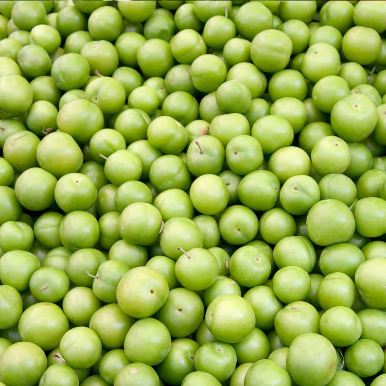Greengage 'Old Green Gage'