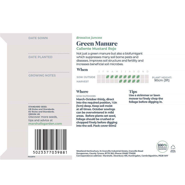 Green Manure Caliente Mustard Rojo