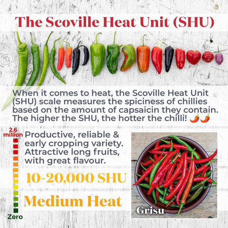 Chilli Balcony Collection
