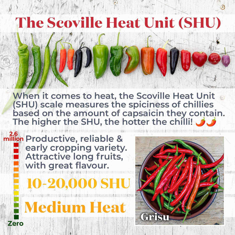 Chilli Balcony Collection
