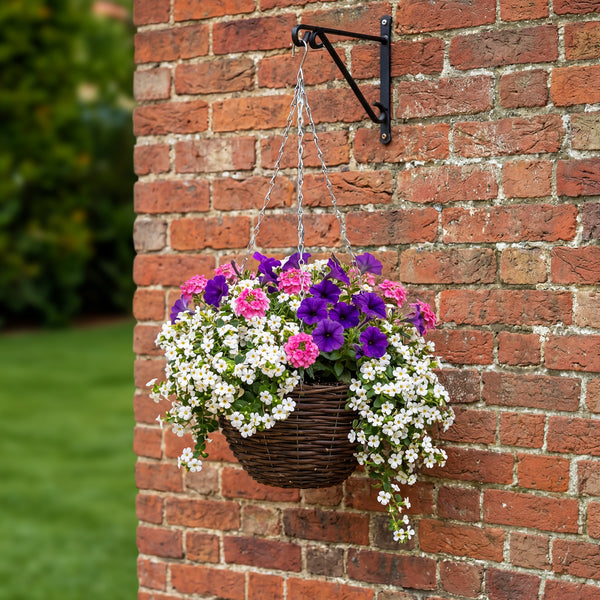Hanging Basket x6 Plugs
