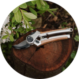 Secateurs