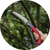 Saws