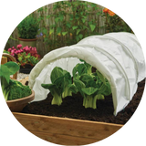 Plant Protection
