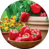 Peppers