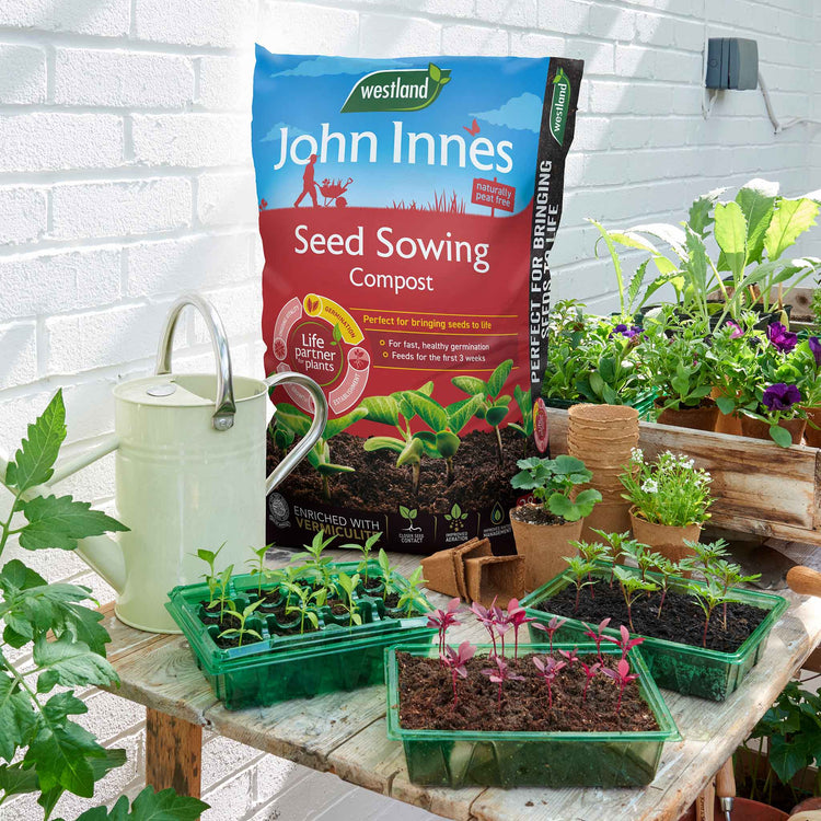 Westland John Innes Peat Free Seed Sowing Compost
